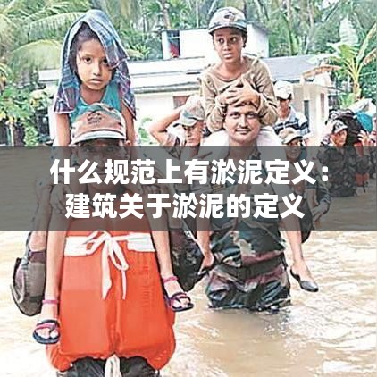 什么規范上有淤泥定義：建筑關于淤泥的定義 