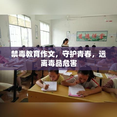 禁毒教育作文,守護青春,遠離毒品危害