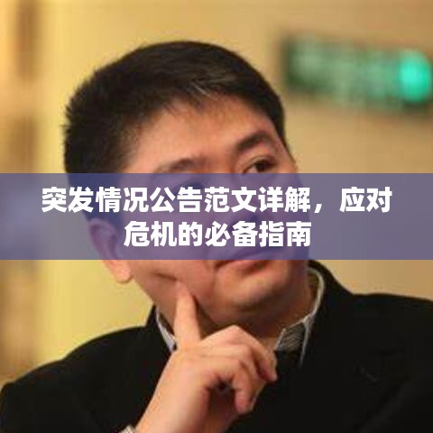 突發(fā)情況公告范文詳解，應(yīng)對危機(jī)的必備指南