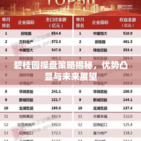 碧桂園操盤策略揭秘，優勢凸顯與未來展望
