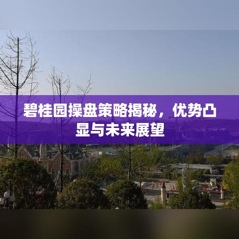碧桂園操盤策略揭秘,優勢凸顯與未來展望