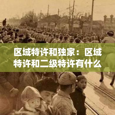 區域特許和獨家:區域特許和二級特許有什么明顯不同