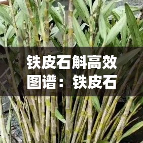 服務支持 第122頁