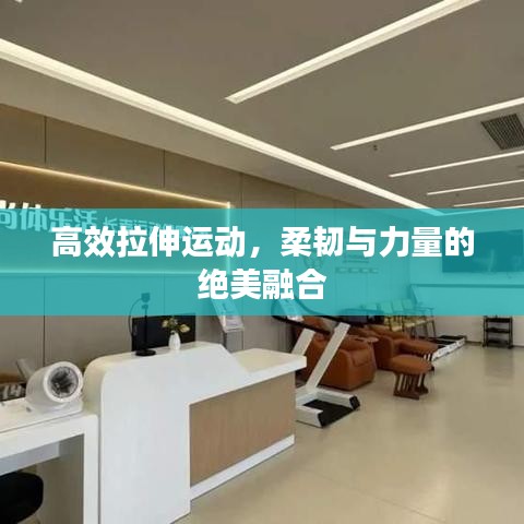 高效拉伸運(yùn)動(dòng)，柔韌與力量的絕美融合