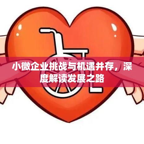 小微企業(yè)挑戰(zhàn)與機(jī)遇并存，深度解讀發(fā)展之路