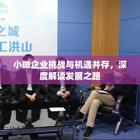 小微企業挑戰與機遇并存,深度解讀發展之路