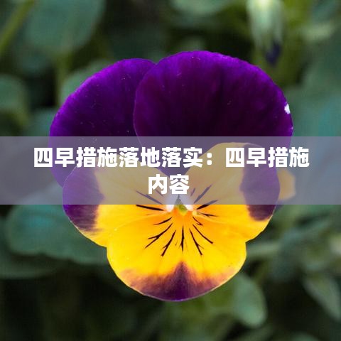 四早措施落地落實:四早措施內容