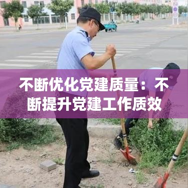 不斷優化黨建質量:不斷提升黨建工作質效