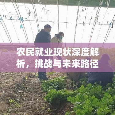 農民就業現狀深度解析,挑戰與未來路徑探索