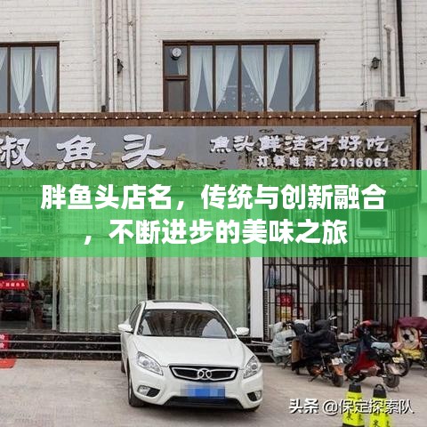 胖魚頭店名,傳統與創新融合,不斷進步的美味之旅