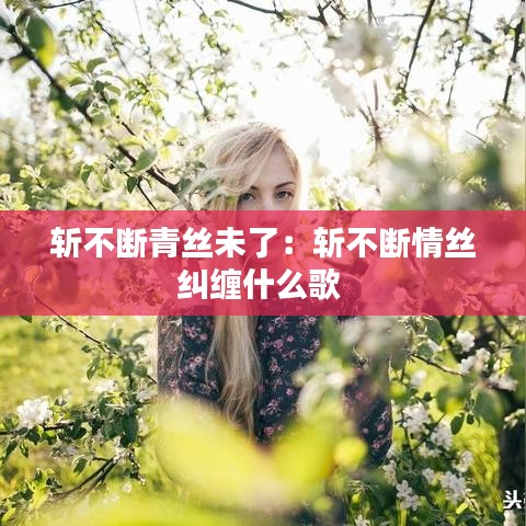 斬不斷青絲未了:斬不斷情絲糾纏什么歌