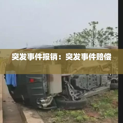 突發事件報銷:突發事件賠償
