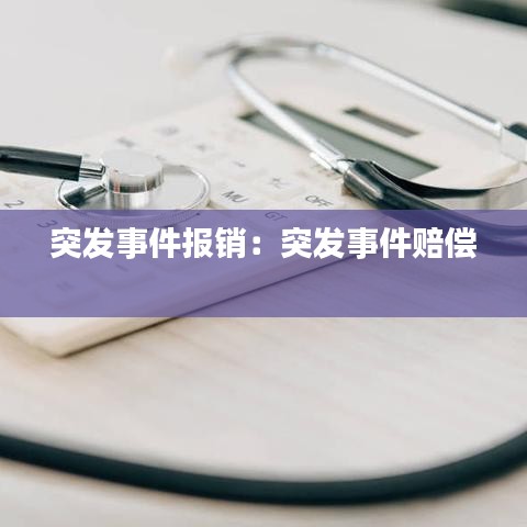 突發事件報銷:突發事件賠償
