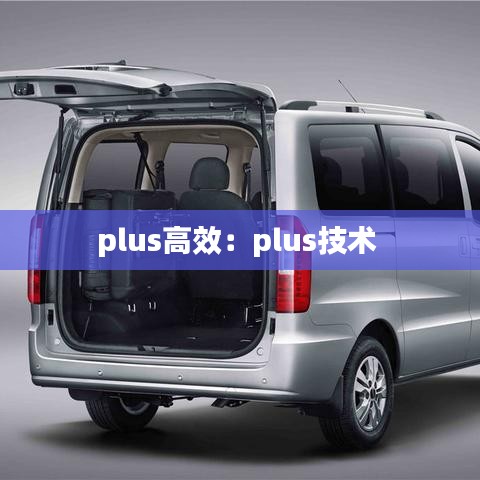 plus高效:plus技術