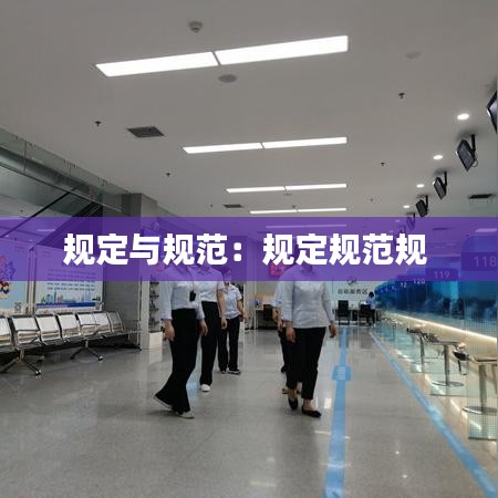 規定與規范:規定規范規