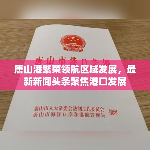 唐山港繁榮領(lǐng)航區(qū)域發(fā)展,最新新聞頭條聚焦港口發(fā)展