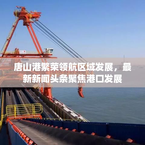 唐山港繁榮領(lǐng)航區(qū)域發(fā)展,最新新聞頭條聚焦港口發(fā)展