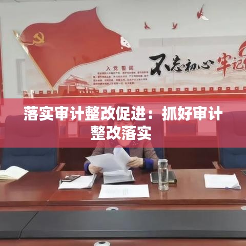 落實審計整改促進：抓好審計整改落實 