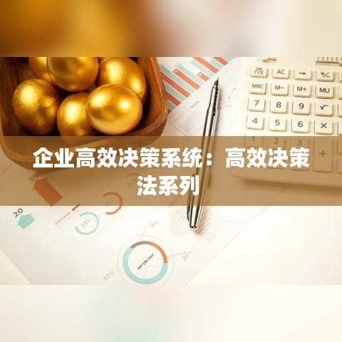 企業(yè)高效決策系統(tǒng)：高效決策法系列 