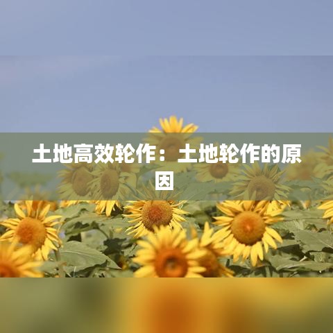 土地高效輪作：土地輪作的原因 