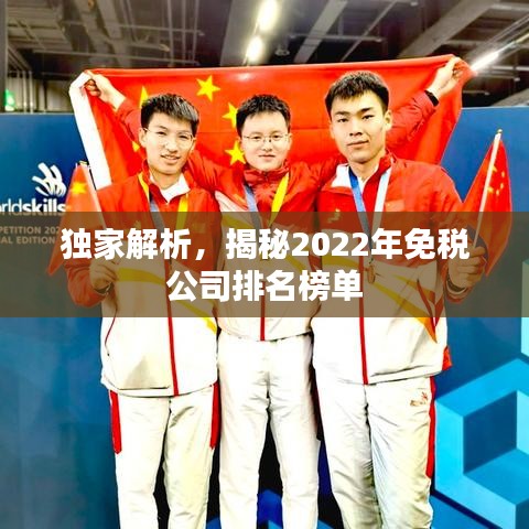 獨家解析,揭秘2022年免稅公司排名榜單