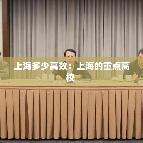 上海多少高效：上海的重點高校 