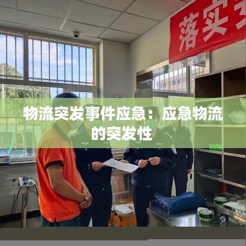 物流突發(fā)事件應(yīng)急:應(yīng)急物流的突發(fā)性