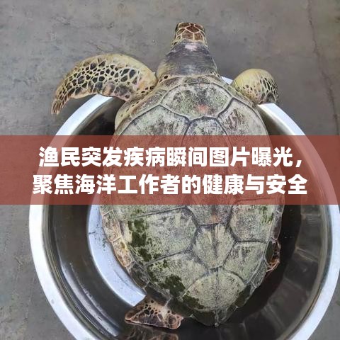 漁民突發疾病瞬間圖片曝光，聚焦海洋工作者的健康與安全問題