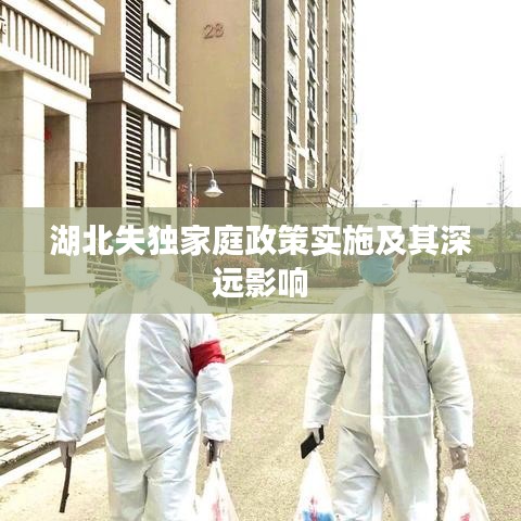 湖北失獨家庭政策實施及其深遠影響