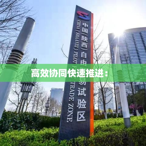 高效協(xié)同快速推進: