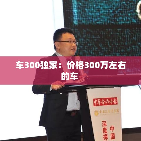 車300獨家:價格300萬左右的車