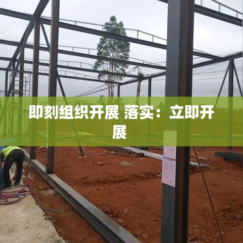 即刻組織開展 落實：立即開展 