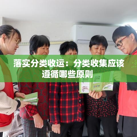 落實分類收運：分類收集應該遵循哪些原則 