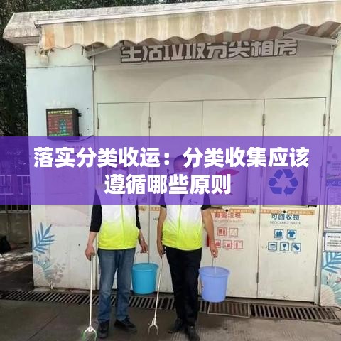 落實分類收運:分類收集應該遵循哪些原則