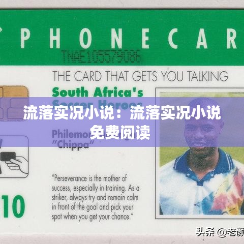 流落實況小說：流落實況小說免費閱讀 