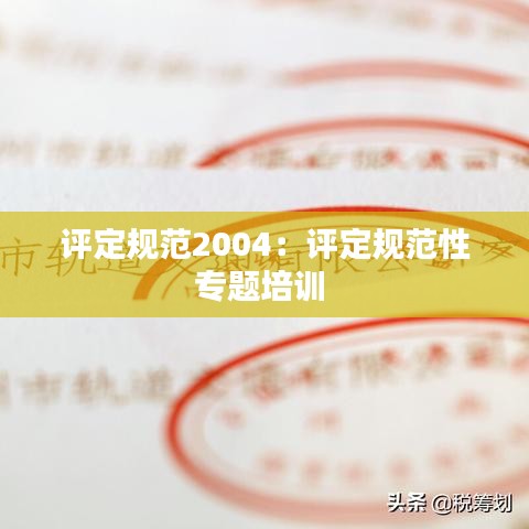 評定規(guī)范2004:評定規(guī)范性專題培訓(xùn)
