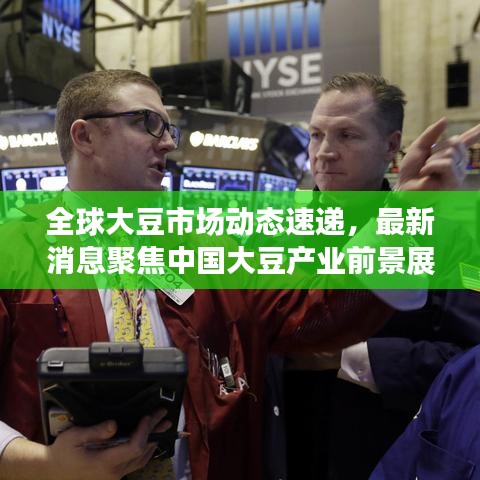 全球大豆市場(chǎng)動(dòng)態(tài)速遞,最新消息聚焦中國(guó)大豆產(chǎn)業(yè)前景展望