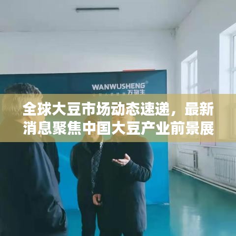 全球大豆市場動態速遞,最新消息聚焦中國大豆產業前景展望