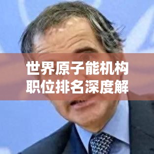 世界原子能機構職位排名深度解析,洞悉行業權威職位排名內幕!