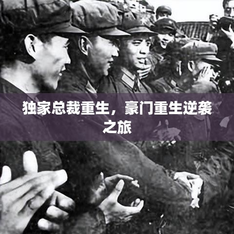 獨(dú)家總裁重生,豪門重生逆襲之旅