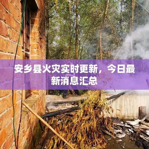安鄉縣火災實時更新,今日最新消息匯總