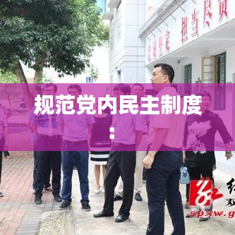 規范黨內民主制度: