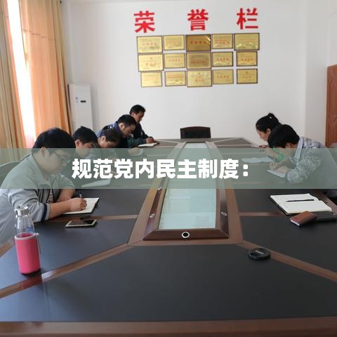 規范黨內民主制度: