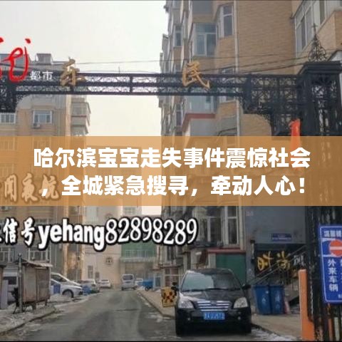 哈爾濱寶寶走失事件震驚社會(huì),全城緊急搜尋,牽動(dòng)人心!