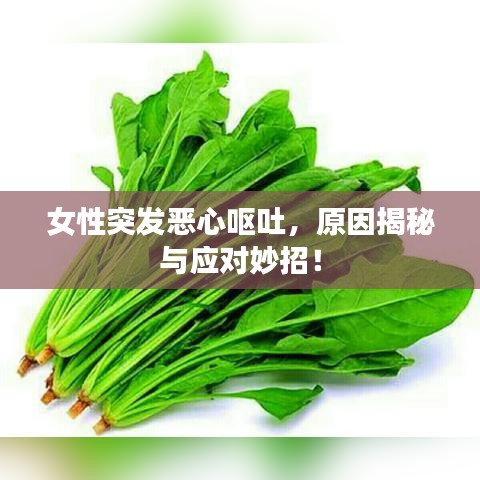 女性突發惡心嘔吐，原因揭秘與應對妙招！