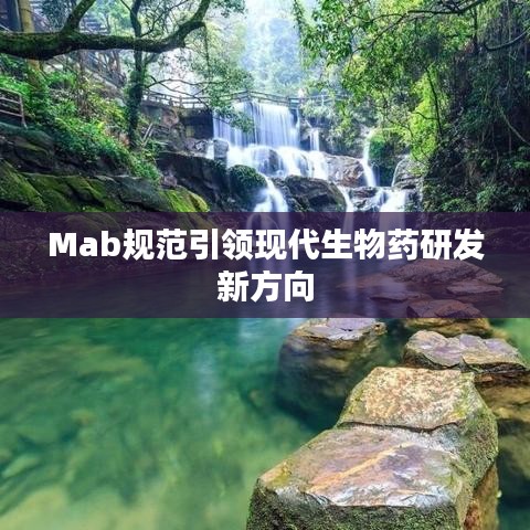 Mab規范引領現代生物藥研發新方向