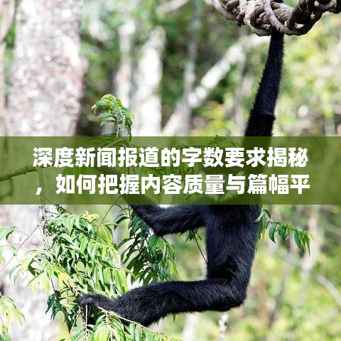 深度新聞報道的字數要求揭秘，如何把握內容質量與篇幅平衡？