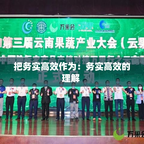 把務實高效作為:務實高效的理解