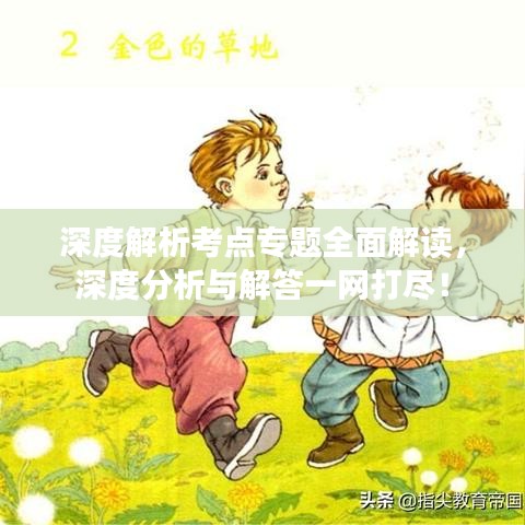 深度解析考點(diǎn)專(zhuān)題全面解讀,深度分析與解答一網(wǎng)打盡!