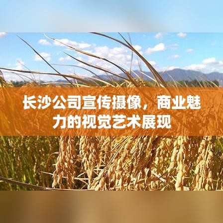 長沙公司宣傳攝像,商業魅力的視覺藝術展現